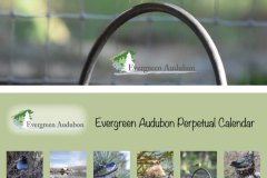 375278172762947.6484bb1ab7ee3