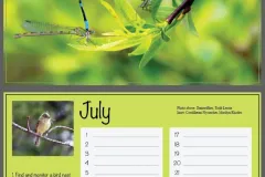 9a430d172762947.6484bb1b0c08f