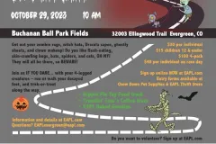 162fbc172766951.6515b41b16e1a