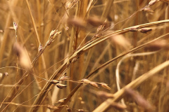 9c4e80172763961.6484bf8d5a765