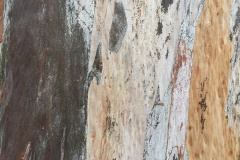 9facea172763961.6484bf8d5998e