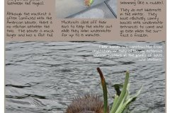 6c65c1172761535.6484b675a780a