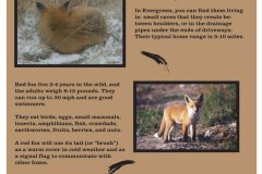 75e57d172761535.6484b674c312e