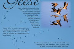 767162172761535.6484b584260ac