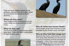 af48f2172761535.6484b67510618