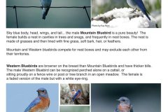 c38c2a172761535.6484b583dd1d6