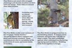 fb1b21172761535.6484b6756335f